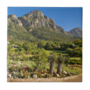 Suche nach kapstadt fliesen Farbbild