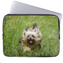 Suche nach yorkie laptop schutzhüllen Welpe
