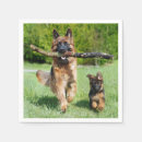 Suche nach schäferhunde Deutscher hirte