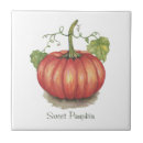 Suche nach weinrebe fliesen Kürbis