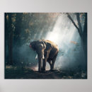 Suche nach asiatische elefanten poster Tierwelt