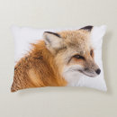Suche nach roter fuchs Niedlich