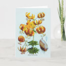 Suche nach lilium karten Botanisch