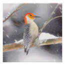 Suche nach gelber schnee poster Rot