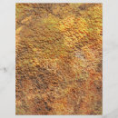 Suche nach braun bastel zubehör Herbst