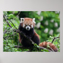 Suche nach busch poster Niedlich