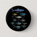 Suche nach haifische buttons Haifischliebhaber