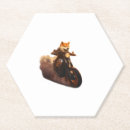 Suche nach shiba inu untersetzer Wildhund