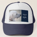 Suche nach labrador blau kappen Welpe