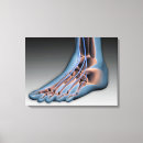 Suche nach menschlicher fuß leinwandbilder Füße