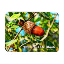 Suche nach eichen magnete Jede person