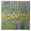 Suche nach reflexion fliesen Fotografie