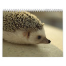 Suche nach igel kalender Niedlich