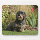 Suche nach drähte mousepads Foto