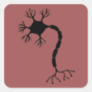 Suche nach neurologie aufkleber Biologie