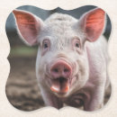 Suche nach pig untersetzer Schwein