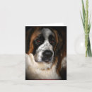 Suche nach st bernard karten Haustiere