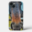 Suche nach thoroughbred hüllen Für alle