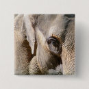 Suche nach kleiner elefant buttons Jede person
