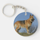 Suche nach deutscher schäferhund schlüsselanhänger Foto