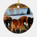 Suche nach isländisch ornamente Ponys