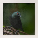 Suche nach rote augen puzzle Für alle