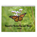 Suche nach schmetterling kalender Motte