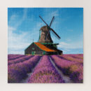 Suche nach lavendel puzzle Jede person