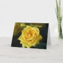Suche nach yellow rose karten Jede person