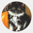 Suche nach weiße katze aufkleber Tuxedo