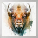 Suche nach büffel poster Wild