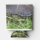 Suche nach schildkröte muschel Tier