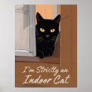 Suche nach katze fenster poster Schwarzkatze