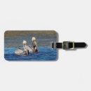 Suche nach florida strand gepäckanhänger Wild