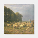 Suche nach schafe magnete Feld