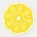 Suche nach zitrusfrucht aufkleber Gesundheit