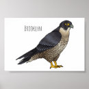 Suche nach falcon poster Raptor