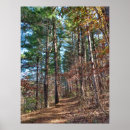 Suche nach waldweg poster Herbst