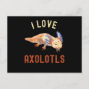 Suche nach axolotl postkarten Acholotls