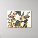Suche nach john james audubon leinwandbilder Vögel