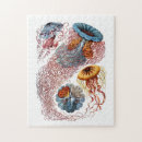 Suche nach haeckel puzzle Kunstformen der natur