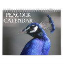 Suche nach pfauen kalender Vogelvogel