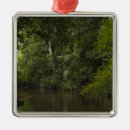 Suche nach guyana ornamente Pete oxford