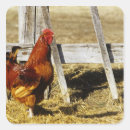 Suche nach rooster aufkleber Ländlich