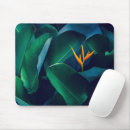 Suche nach paradiesvogel mousepads Regenwald