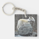 Suche nach weißer wolf schlüsselanhänger Hund