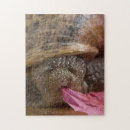 Suche nach bizarre puzzle Niedlich