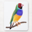 Suche nach spatzen mousepads Wild lebende tiere