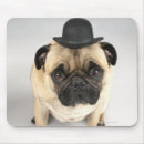 Suche nach der französischen bulldogge mousepads Studioschuß