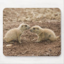 Suche nach prarie mousepads Natur